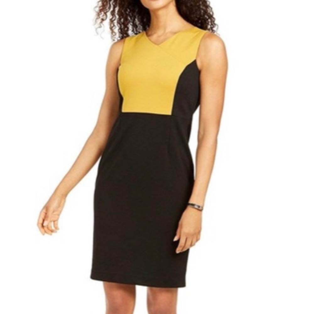 Kasper Plus Size Color-block Sheath Dress SIZE 16P